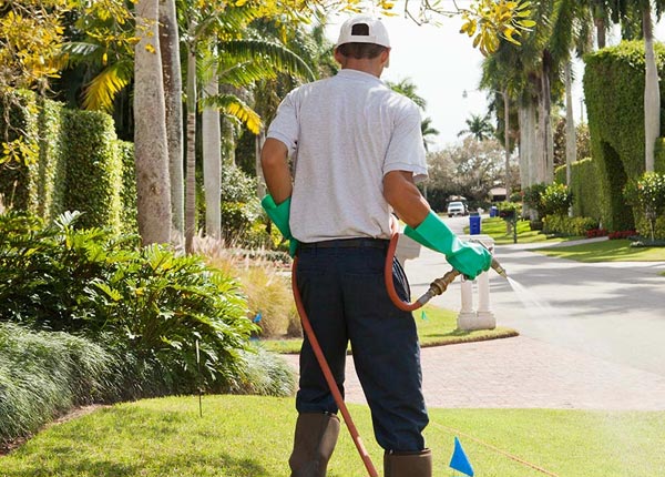 About Harvard IL Pest Control